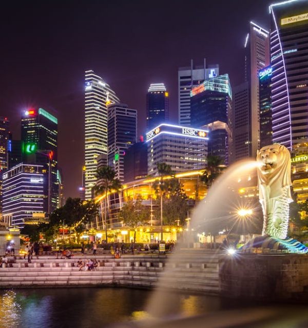 Dazzling view of the Singapore cityscape with Merlion and illuminated skyscrapers at night.